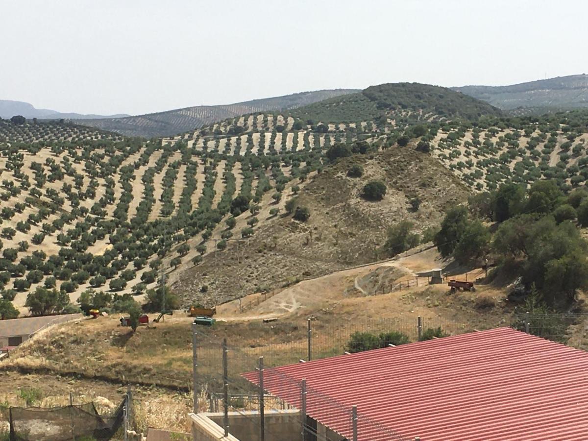 Apartamento Turistico Mirador De Sierra Magina Noalejo Entre Granada Y Jaen Екстериор снимка